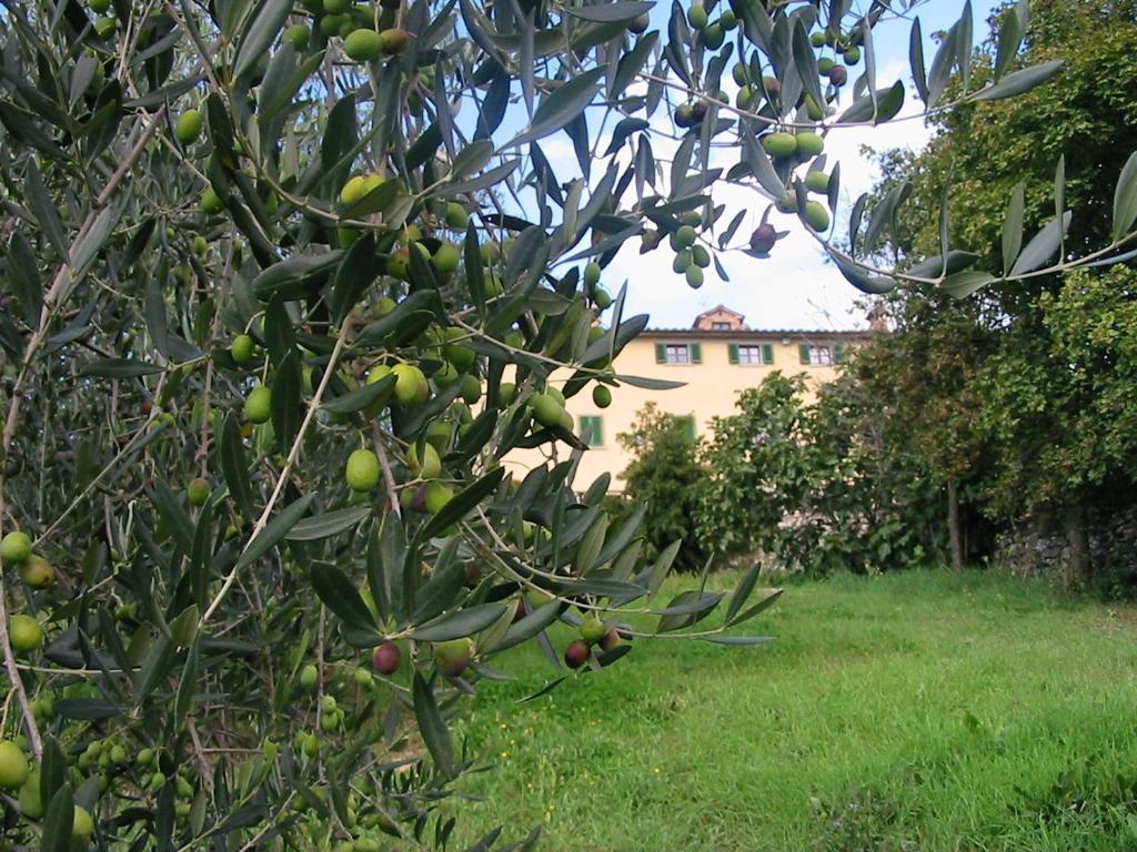 Hotel Relais Palazzo Di Luglio Sansepolcro Εξωτερικό φωτογραφία